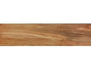 Etic Rovere Ulivo