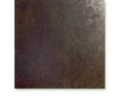 Evolution Bronce
