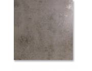 Evolution Gris