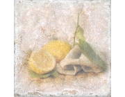 Inserto Tradition Limon